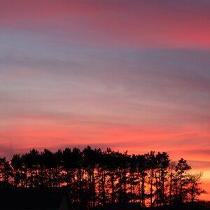 Meet your Posher, Jody